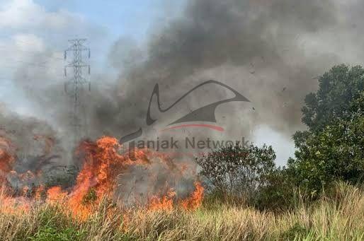 Baru Awal Musim Kemarau Di Riau, Lahan Terbakar Di Empat Kabupaten/Kota Termasuk Dumai Seluas 6,78 Ha