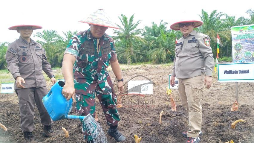 Dandim 0320 Dumai Apresiasi Kelompok Tani Sumber Rezeki Perdana Budi Dayakan Tales Beneng