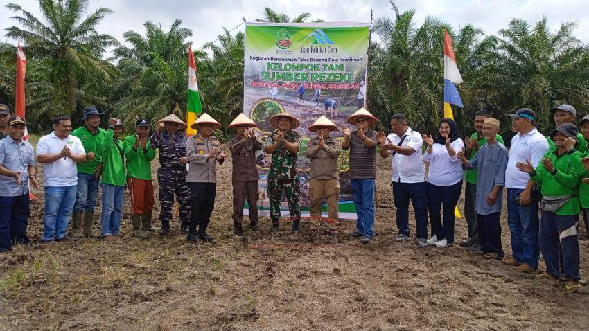 Kelompok Tani Sumber Rezeki Perdana Budi Dayakan Talas Beneng Di Kota Dumai