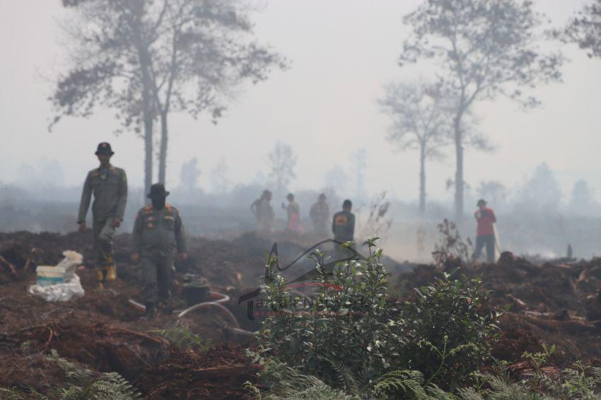 Pasca Karhutla Perbatasan Dumai-Bengkalis, Tim Gabungan Masih Lakukan Pendinginan