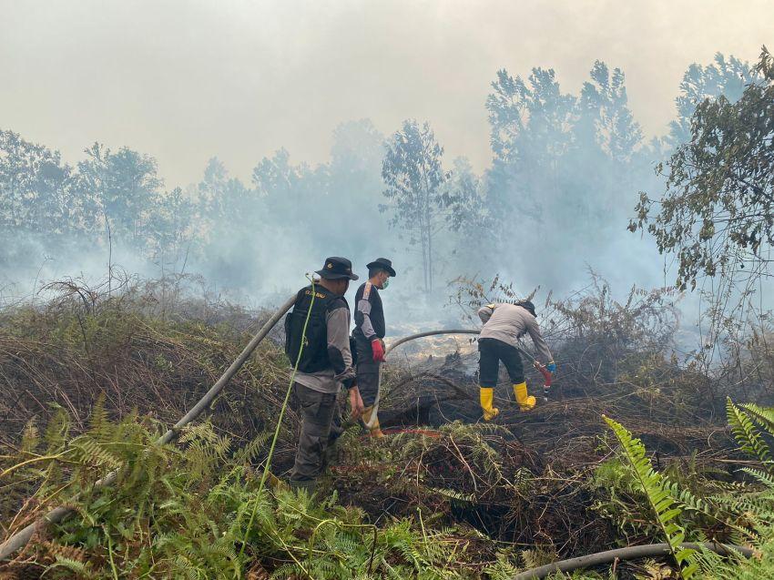 Karhutla 40 Hektar Di Dumai Berhasil Dipadamkan Tim Gabungan