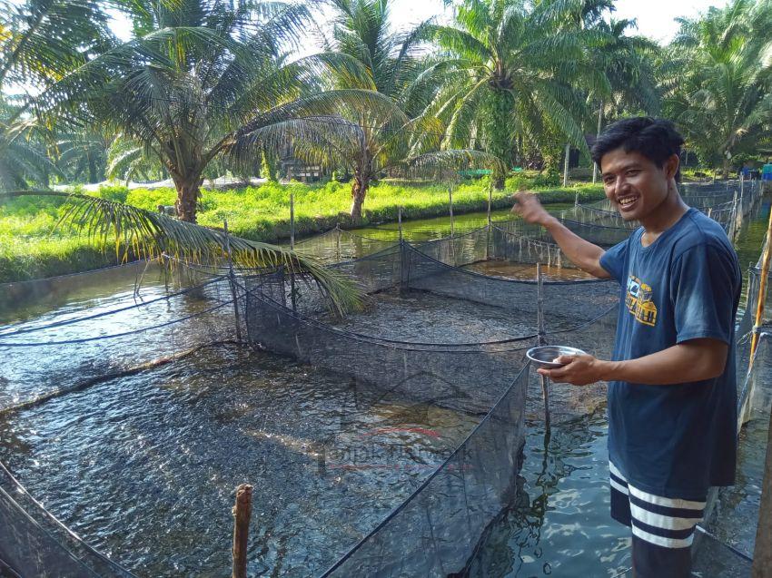 Raih Untung Dengan Bisnis Budidaya Ikan Air Tawar