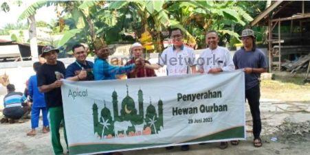 Apical Dumai Salurkan Hewan Kurban 4  Ekor Sapi Kepada Warga Sekitar Perusahaan