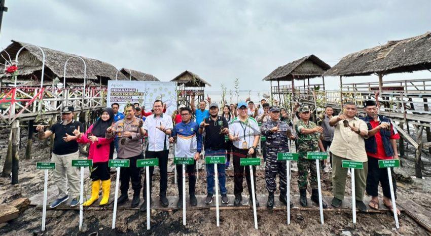 Rehabilitas Hutan Mangrove, Apical Tanam 2000 Bibit Baru