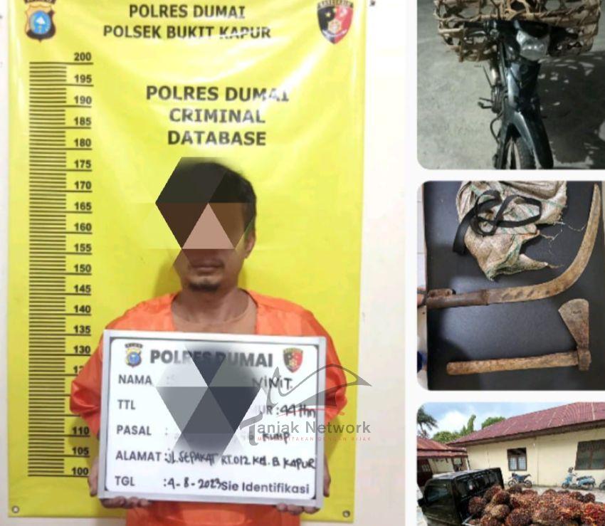 Pelaku Ninja Sawit Ditangkap Polsek Bukit Kapur