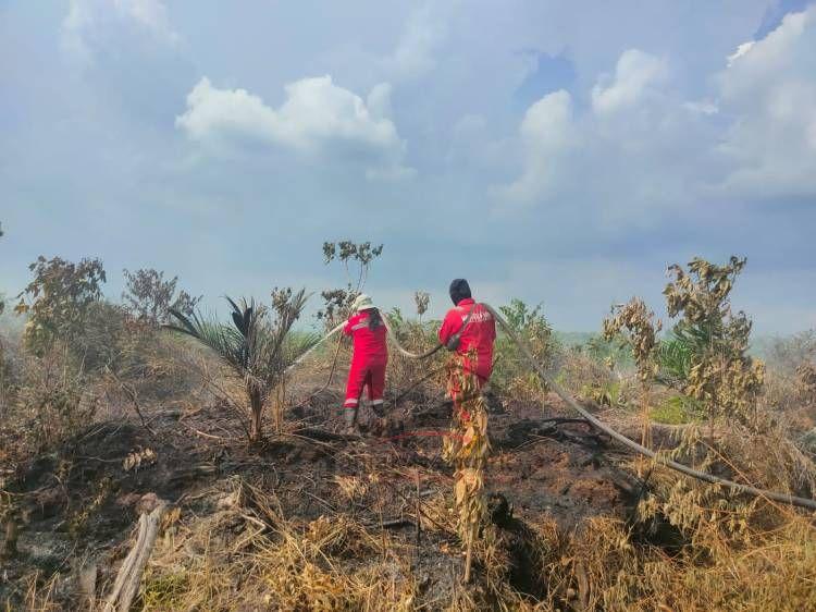 Lahan Milik Polda Riau Terbakar, Irjen Iqbal: Masih Dalam Pendinginan