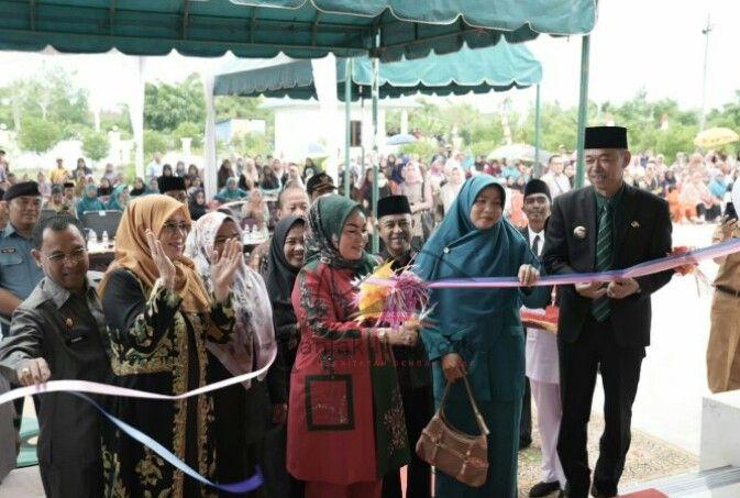 Bupati Rohil Resmikan Gedung Puskesmas Panipahan