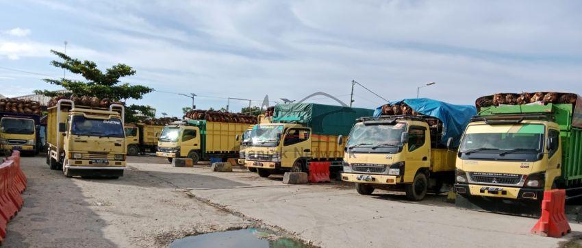 Satu Unit Kapal Roro Dumai-Rupat Docking, Mobil Truck Sawit Alami Antrian Panjang