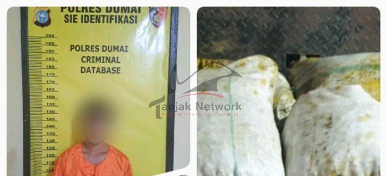 Pelaku Pencuri Buah Sawit Dan Penadah Ditangkap Polsek Sungai Sembilan