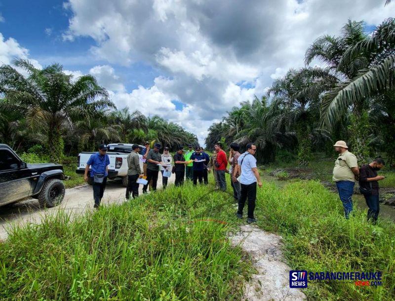 Atas Gugatan Yayasan Riau Madani, Kebun Sawit 1.200 Ha di Kawasan TNTN Perintah Hukum Hentikan Kegiatan Perkebunan Sawit