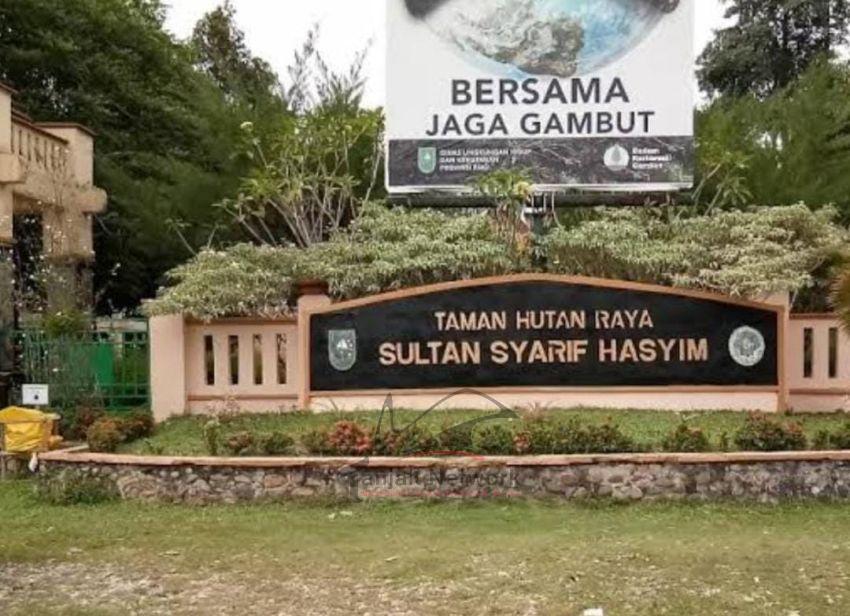 Yayasan Riau Madani Menangkan Gugatan Atas Kebun Sawit Ilegal Di Tahura Minas Riau