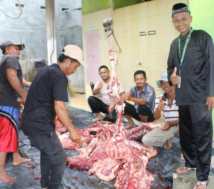 Apical Dumai Salurkan Hewan Kurban ke Masyarakat Sempena Idul Adha 2024